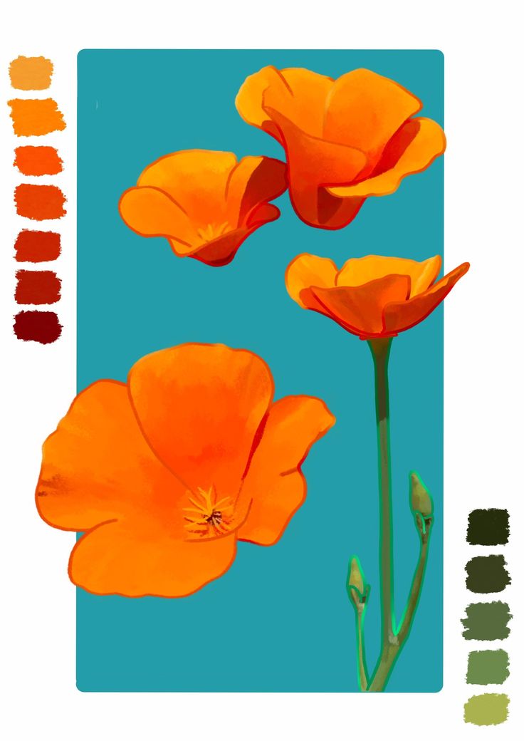 two orange flowers are in front of a blue background with some green and red colors