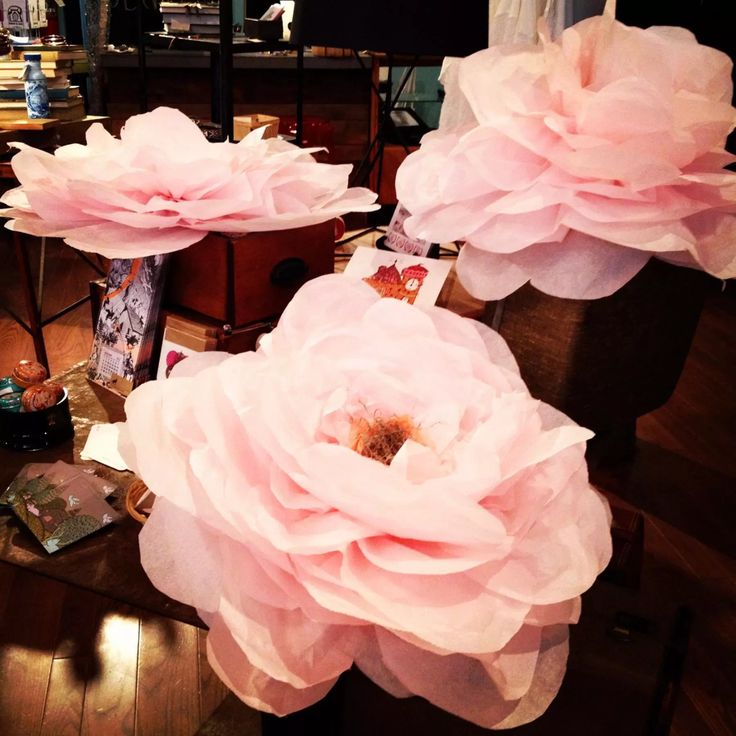 three pink flowers sitting on top of a wooden table in front of a lamp and bookshelf