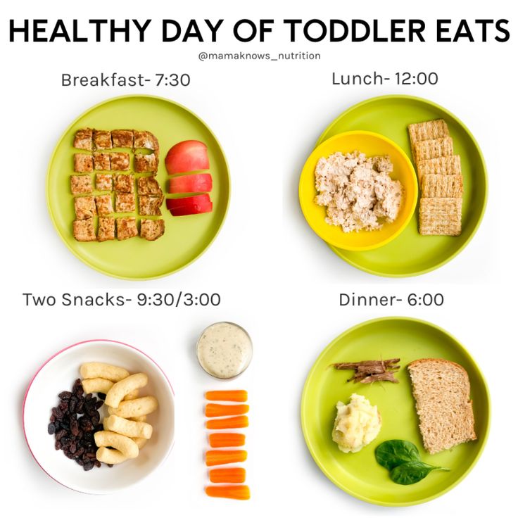 the healthy day of toddlers eats on green plates with carrots and crackers