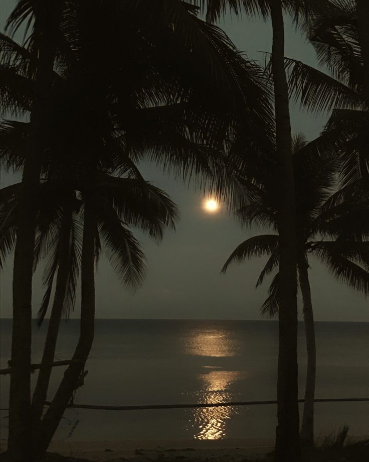 the moon is setting over the ocean with palm trees