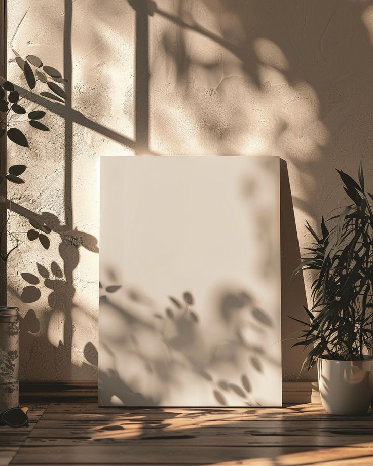 the shadow of a plant is cast on an empty canvas next to a potted plant