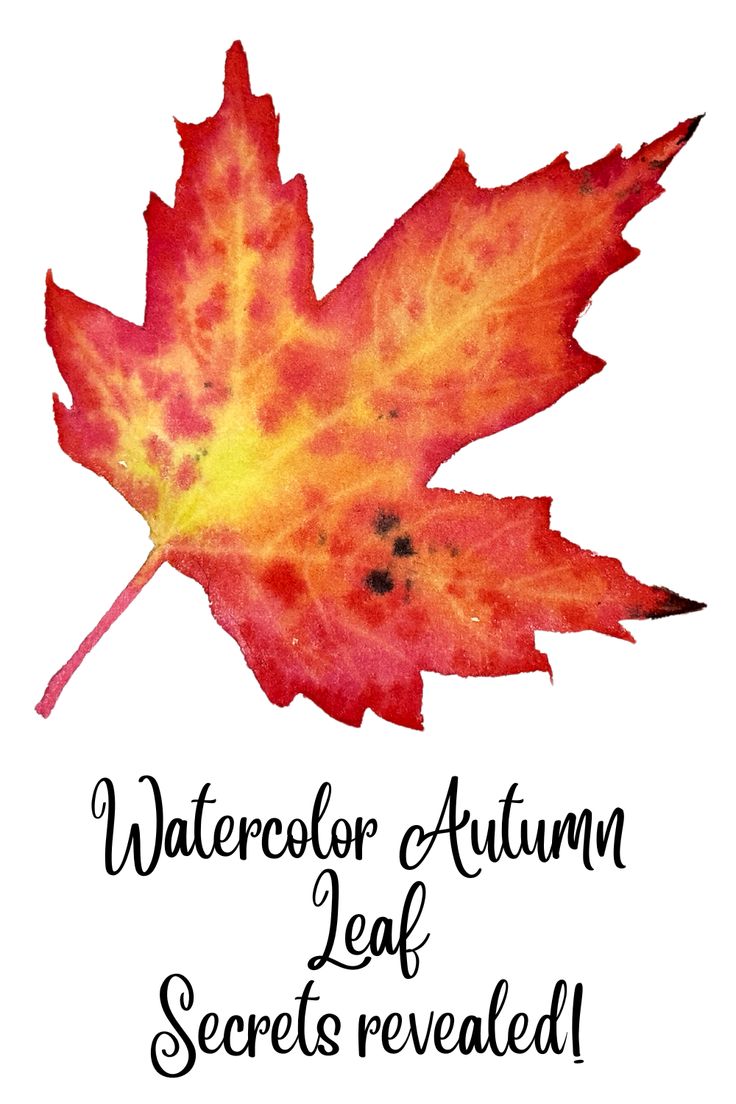 an autumn leaf with the words watercolor autumn leaf secrets revealed in black ink on a white background