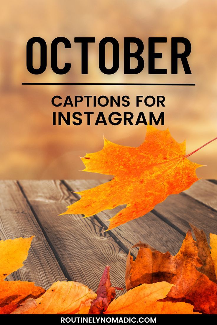 Fall leaves with October captions for Instagram October 1st Quotes Halloween, Welcoming October Quotes, October Favorite Month, October Business Quotes, Quotes About October Month, October Fitness Quotes, First Day Of October Funny, October Recap Captions, October 1st Quotes Inspirational