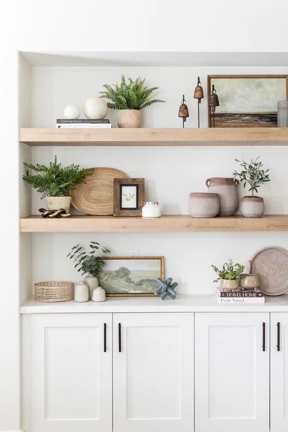 some shelves with plants and pictures on them