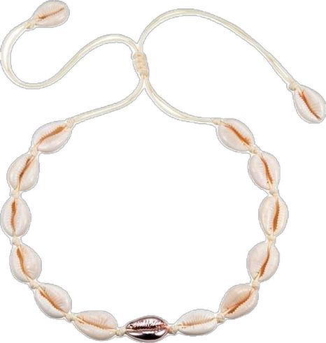 a necklace with seashells hanging from it's side on a white background