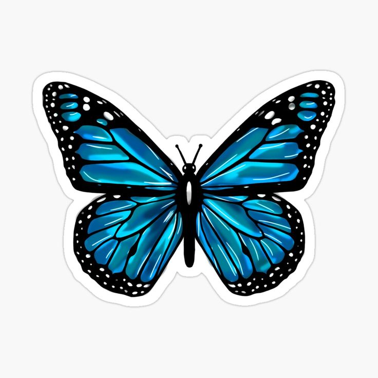 a blue butterfly sticker on a white background