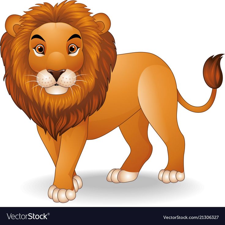 a lion standing on a white background