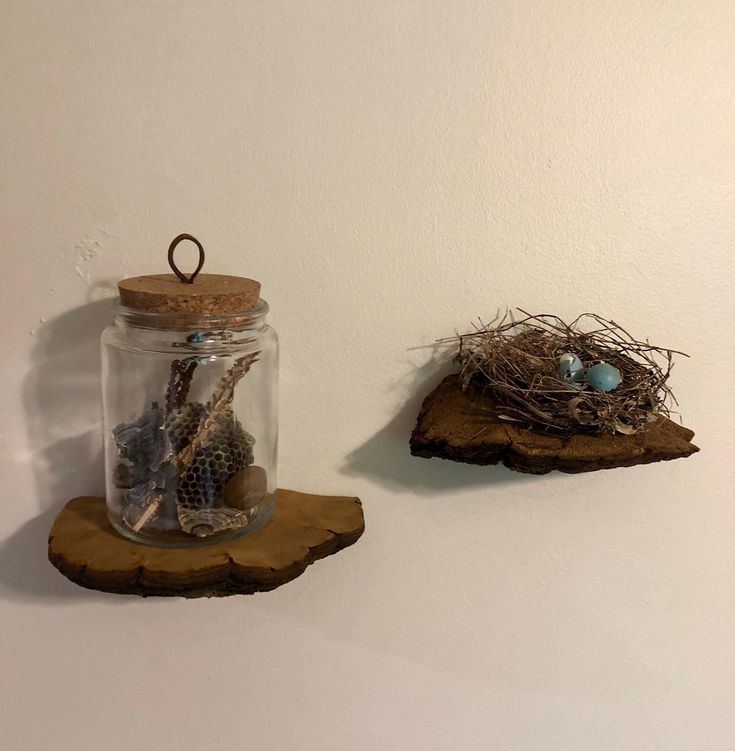 two glass jars filled with birds sitting on top of a piece of wood next to each other