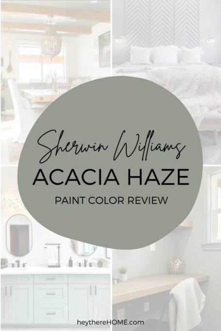 sheryln williams's acacia haze paint color review is featured in this article