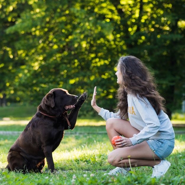 a woman kneeling down next to a brown dog on top of a grass covered field