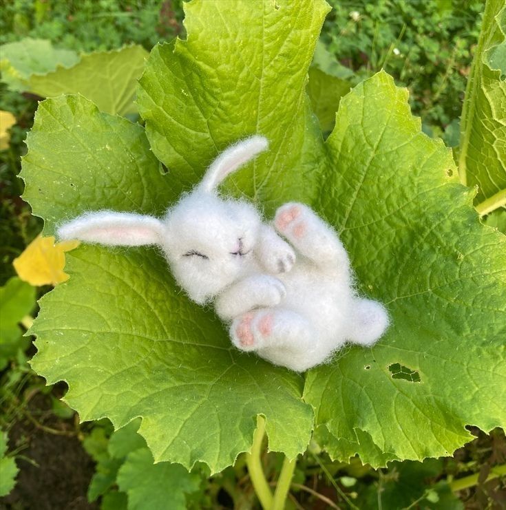 a white stuffed animal laying on top of a green leaf