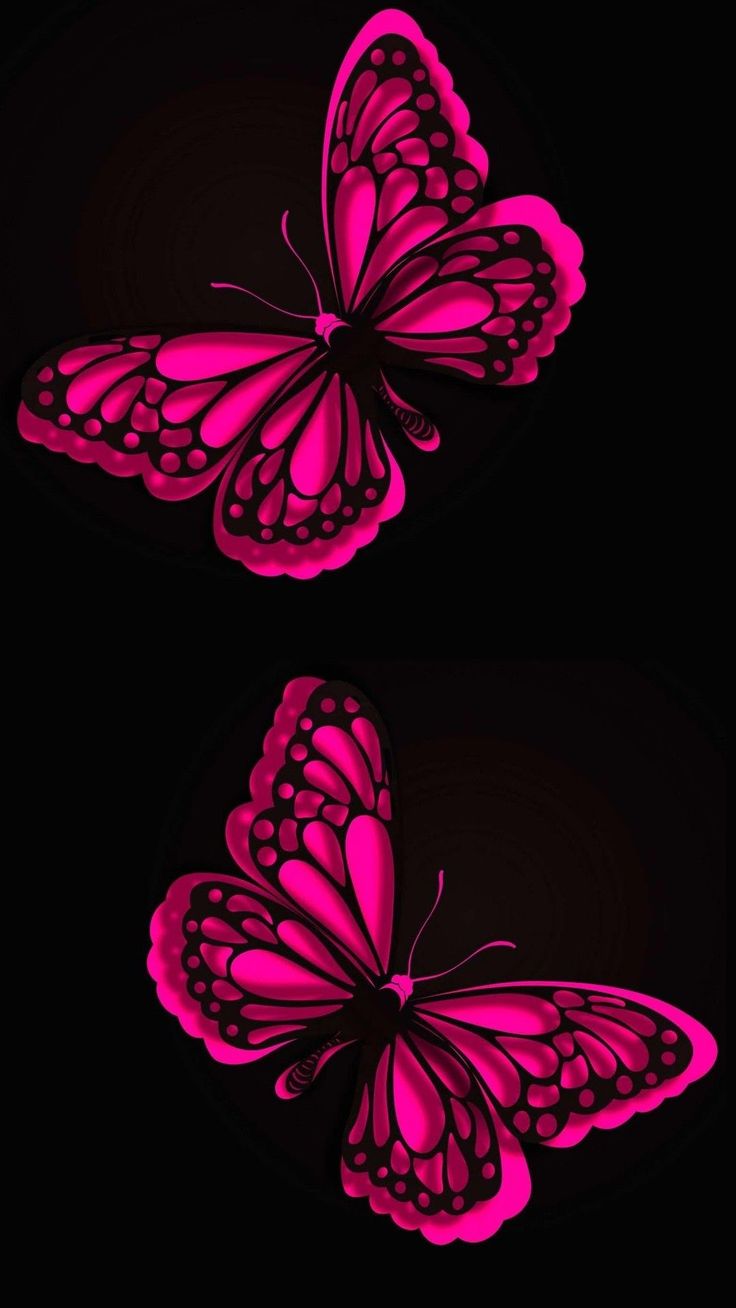 two pink butterflies flying in the dark