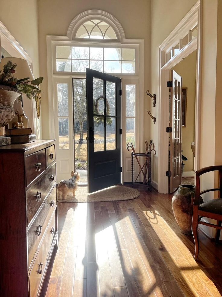 a cat is sitting on the hardwood floor in front of a black door and window