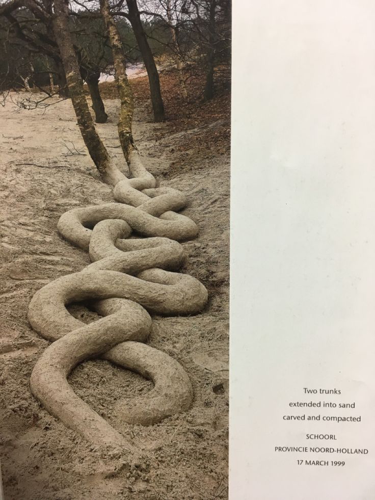 Andy Goldsworthy | Andy goldsworthy, Andy goldsworthy art, Outdoor ...