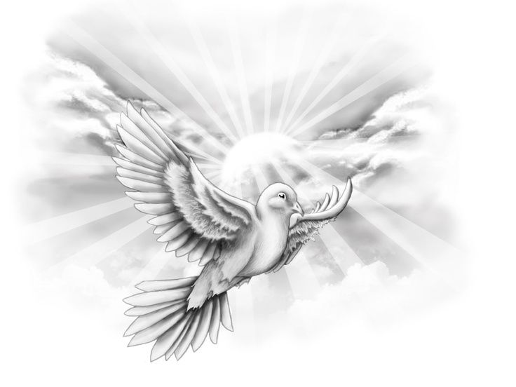 a black and white drawing of a dove