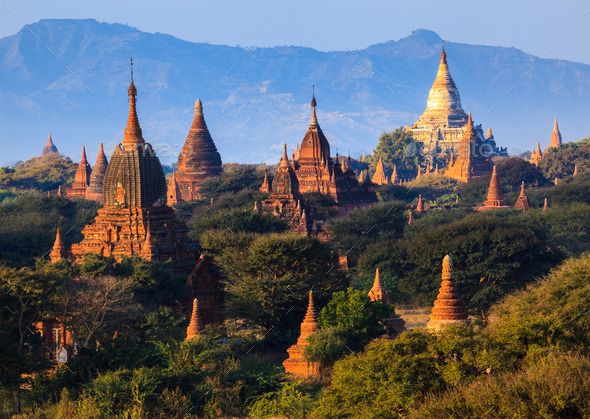 the temples are surrounded by trees and mountains