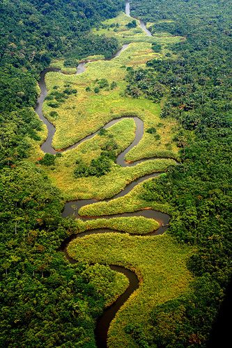 an aerial view of a river in the middle of a lush green valley with trees on both sides