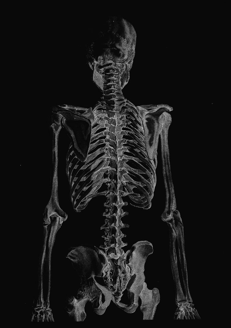 an x - ray image of a human skeleton in black and white, showing the lower half of the body