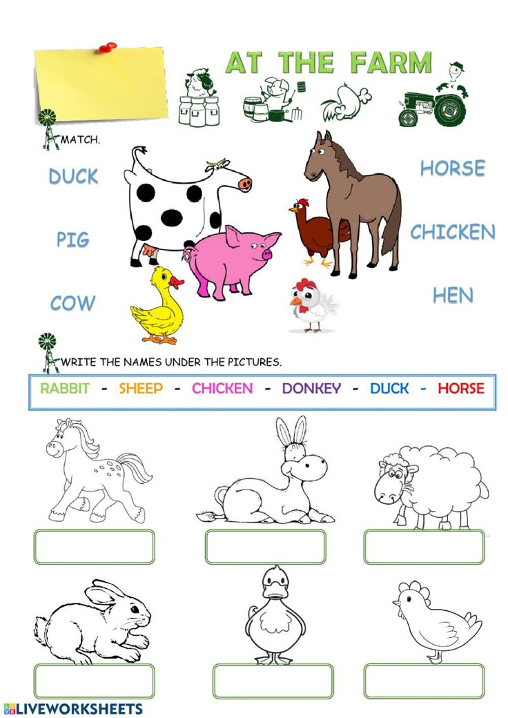 Animal Farm Propaganda Worksheet Answers