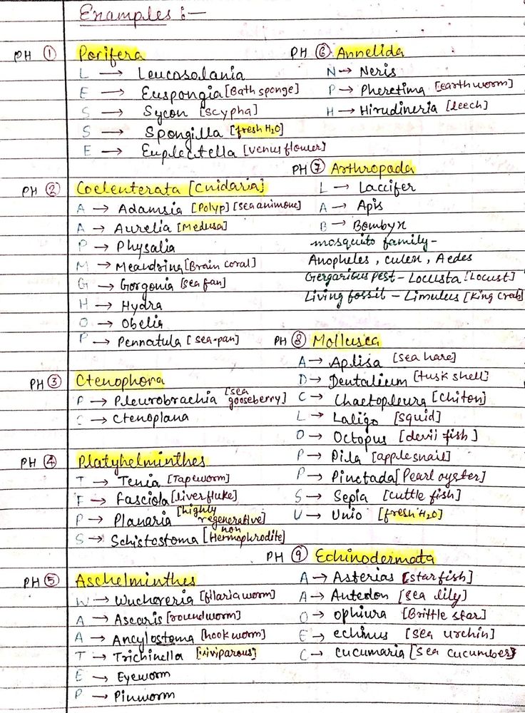 a paper with some writing on it that has different types of words and numbers in them