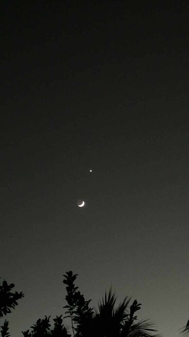 the moon and venus are seen through some trees