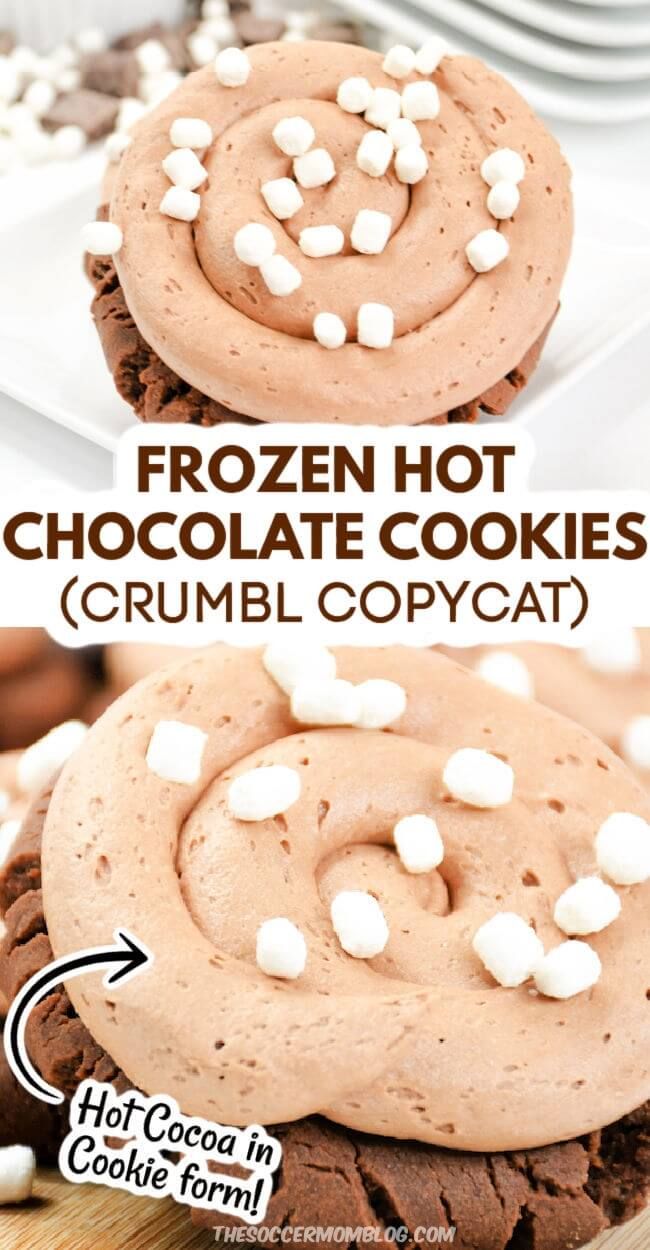 two cookies with chocolate frosting and marshmallows on top, one has been made into a frozen hot chocolate cookie