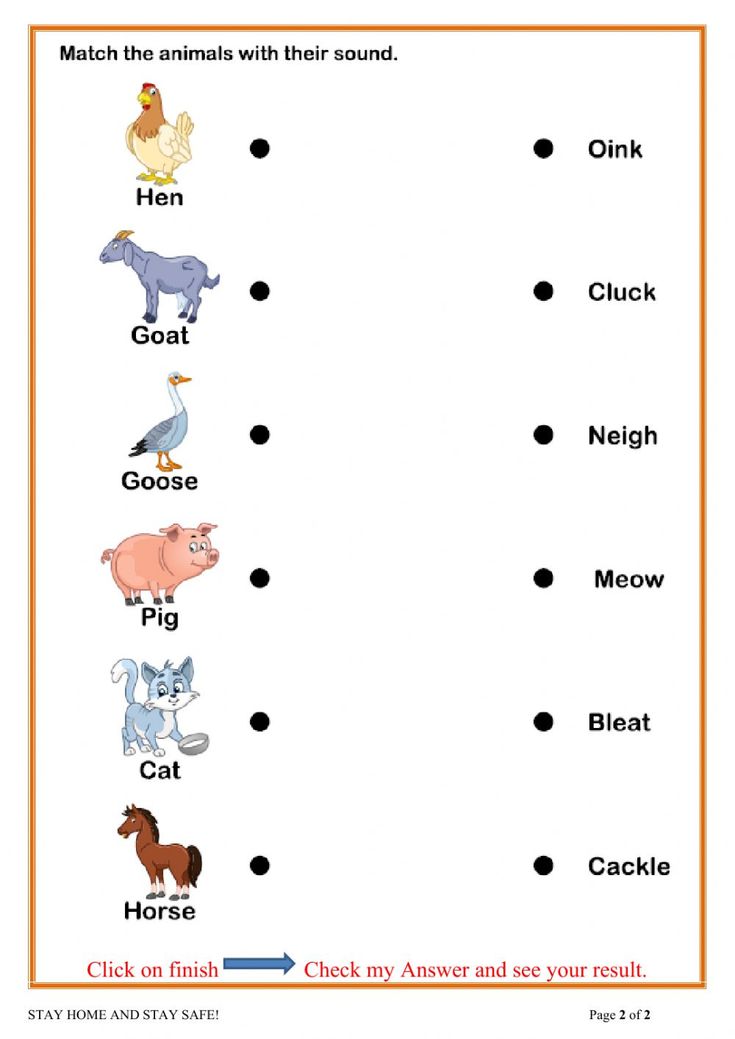 a worksheet with animals and their names