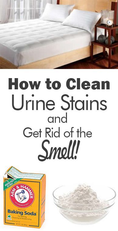 an advertisement for cleaning products with the words how to clean urine stains and get rid of the smell