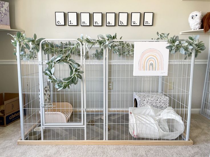 A white playpen for a bunny with lamb’s ear garland and wreath. Rainbow canvas photo. Cinnabun written in letter frames on the wall. Bunny Cage Decor, Bunny Set Up Indoor Diy, Bunny Habitat Indoor, Rabbit Set Up Indoor, Bunny Set Up Indoor Cute, Free Roam Bunny Set Up, Bunny Enclosure, Diy Bunny Cage, Indoor Rabbit House