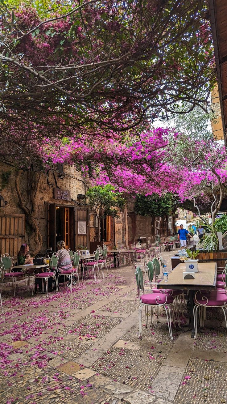 people are sitting at tables with pink flowers on the ground and trees in front of them