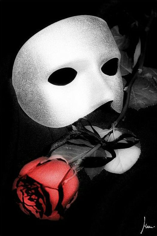 a white mask sitting on top of a red rose next to a black and white background