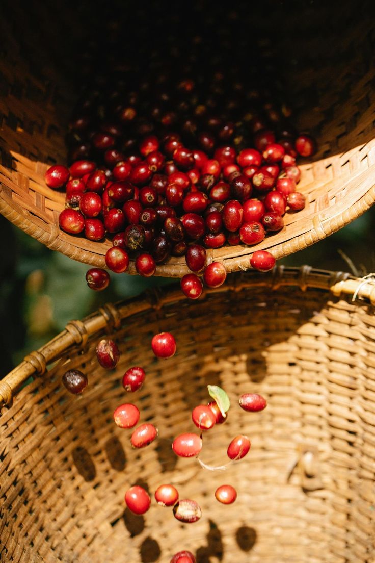 two baskets filled with cranberries sitting next to each other