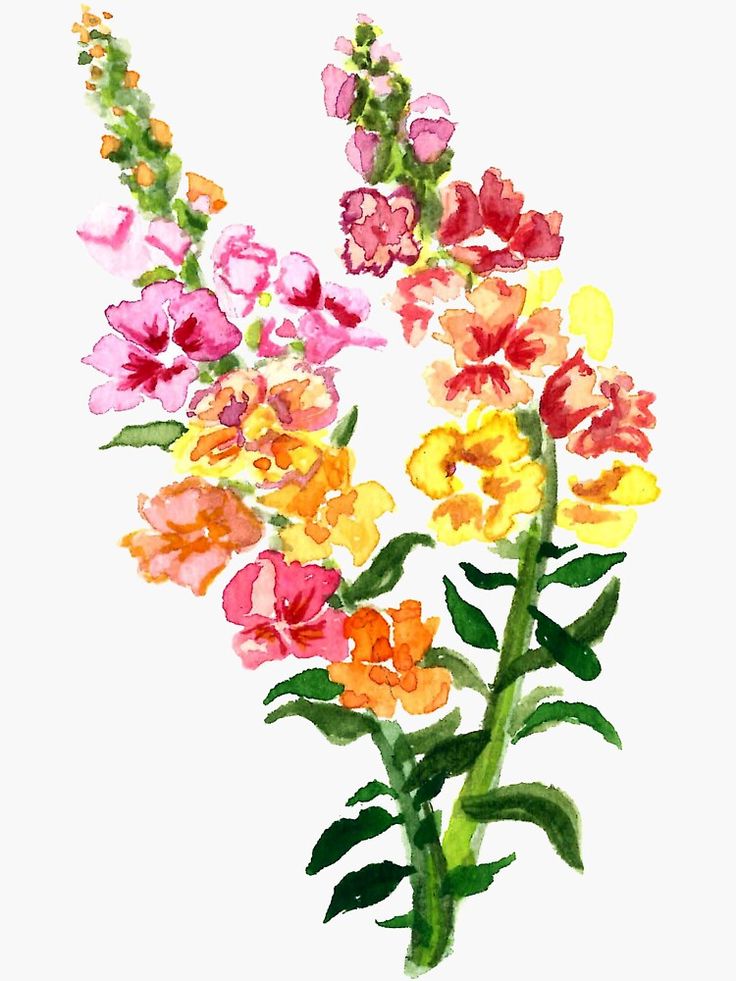 a painting of colorful flowers on a white background