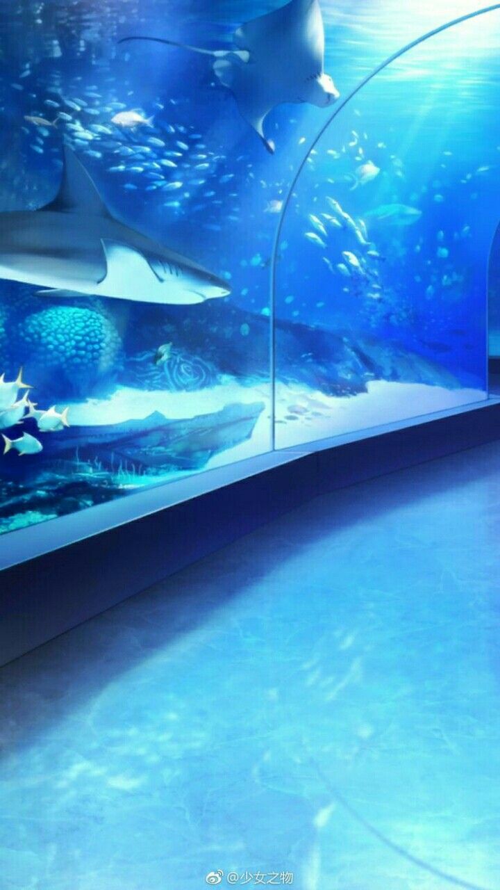 an aquarium filled with lots of different types of fish and sea creatures in blue water