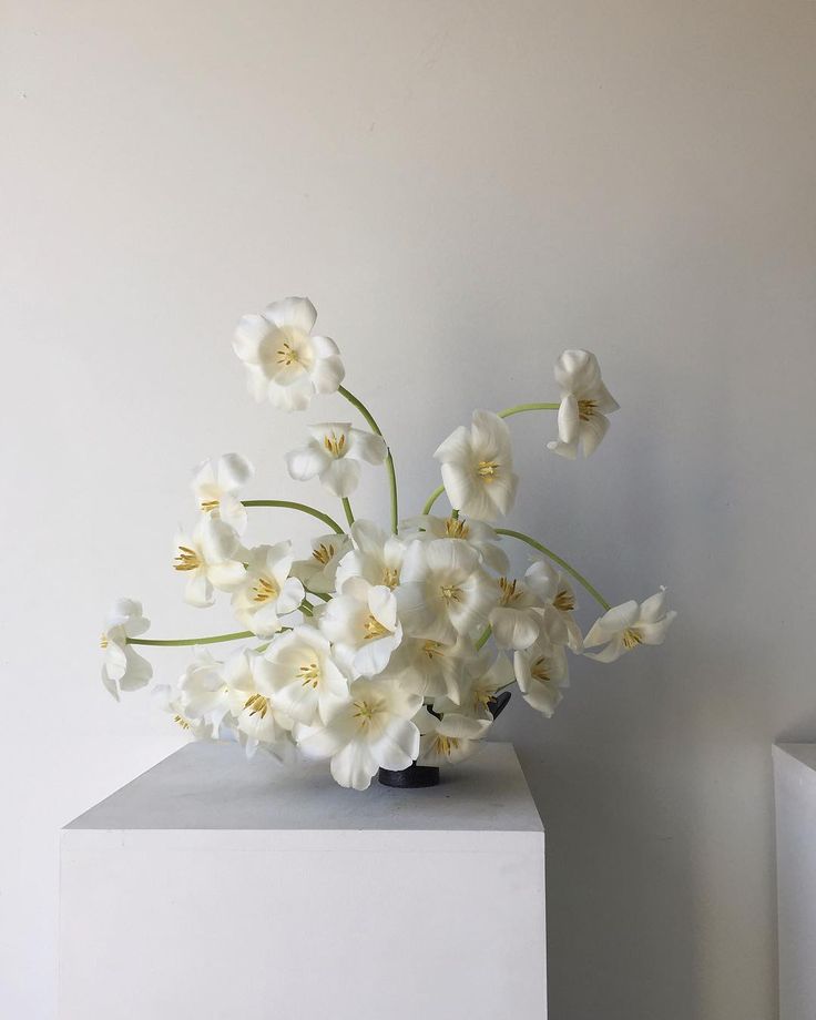 a vase with white flowers in it sitting on a table next to a wall,