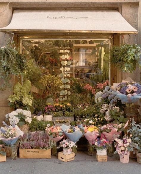 a bunch of flowers that are sitting in front of a store