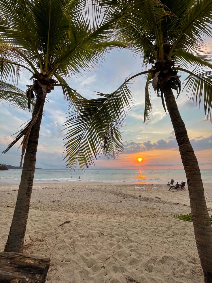 the sun is setting behind two palm trees on the beach with people in the distance