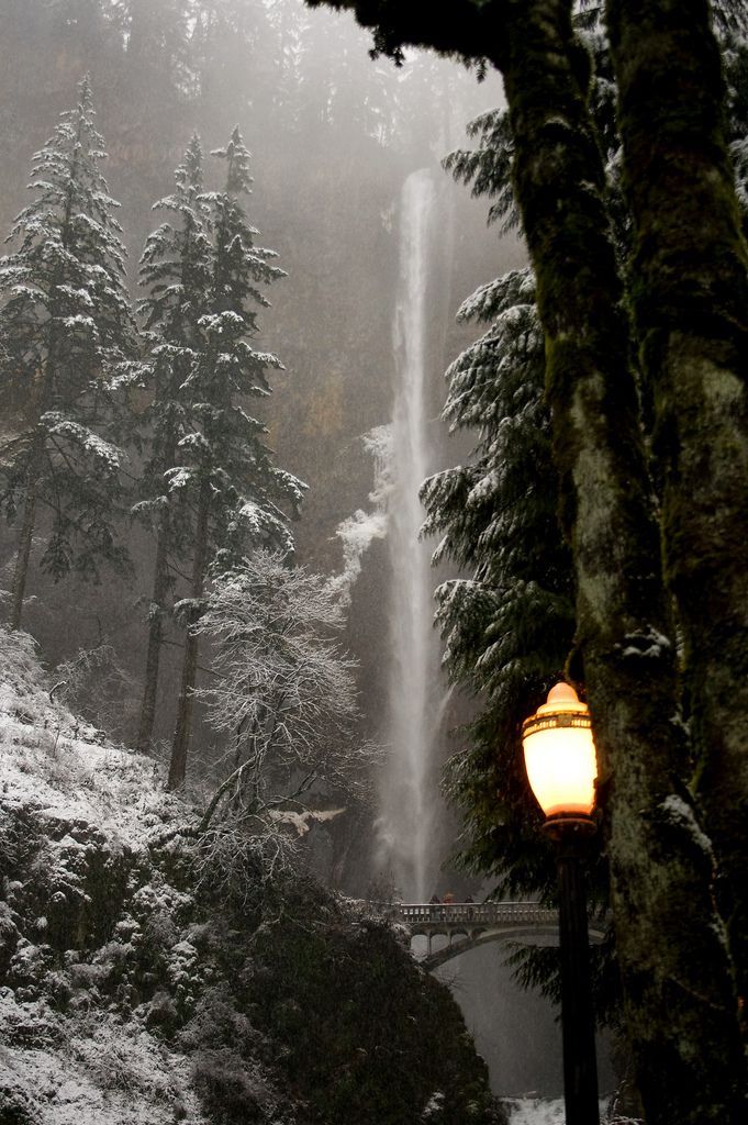 a street light in front of snow covered trees and a bridge with a waterfall coming out of it