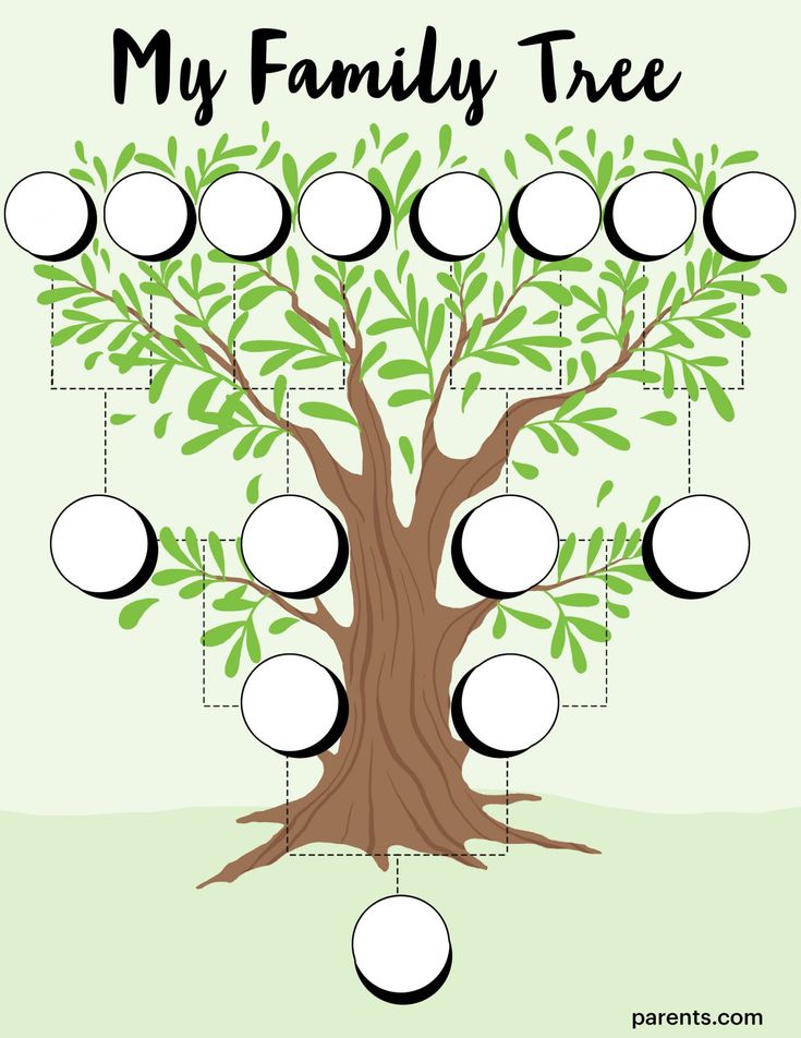 a family tree with circles on it