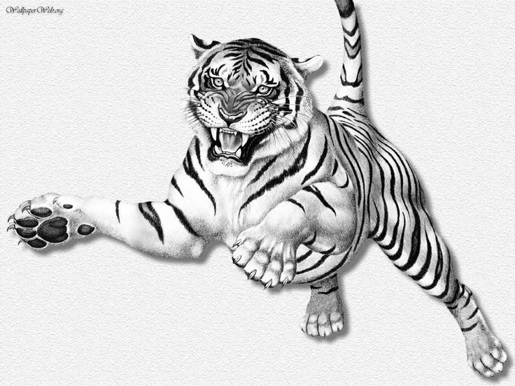 a black and white photo of a tiger leaping in the air with its paw up