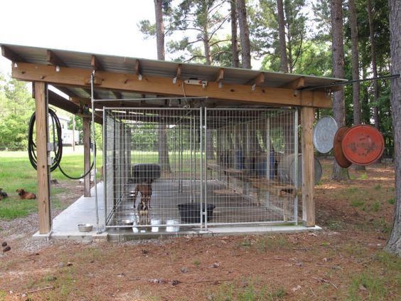 a dog in a cage on the side of a road next to a tree and fence