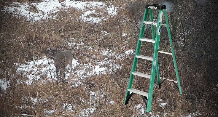 a ladder in the middle of a field with a deer on it's side