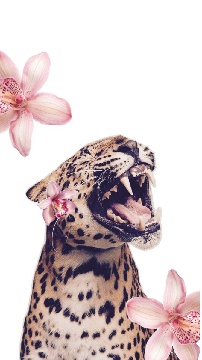 a leopard with its mouth open and flowers in front of it's face on a white background