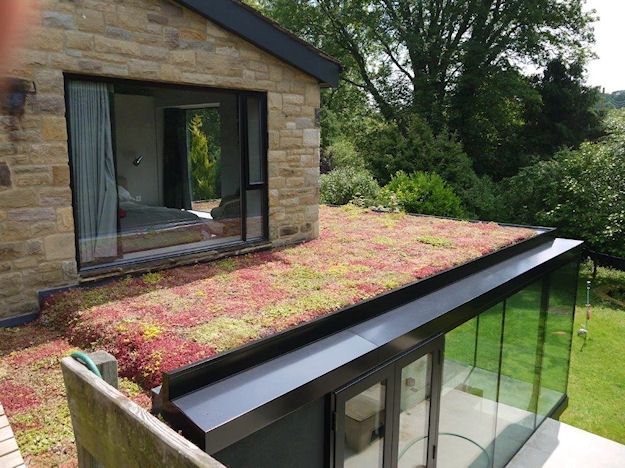 a green roof with grass growing on the side of it and windows in the back