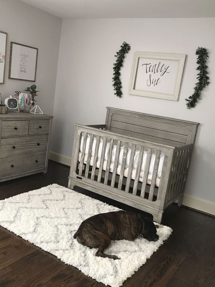 a baby's room with a crib, dressers and a dog sleeping on the floor