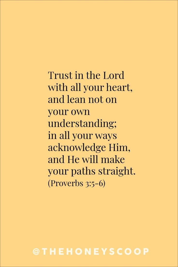 the words trust in the lord with all your heart and lean not on your own