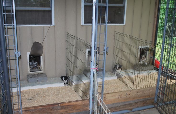 two dogs are in their kennels outside the house