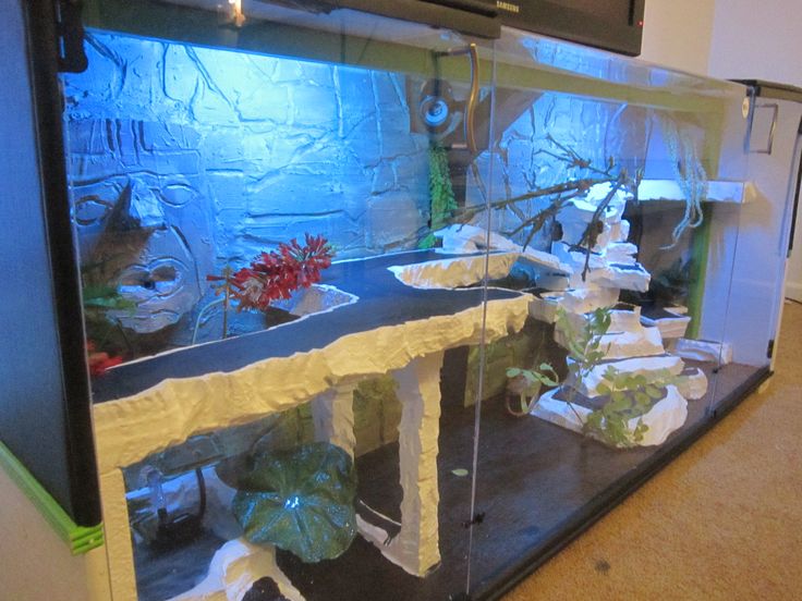 a fish tank with plants and rocks in the bottom half, on top of a table