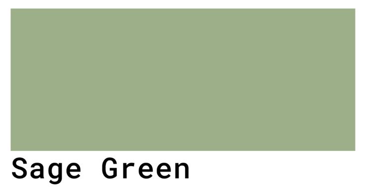 the sage green color is shown in this image