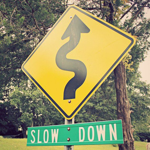 a street sign with a curved road ahead on it's side next to a tree